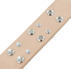 Chicago Screws, Open Hole, Nickel Plate, Solid Brass-LL (50 Per Bag), Multiple Sizes 8 Chicago Screws, Open Hole, Nickel Plate, Solid Brass-LL (50 Per Bag), Multiple Sizes -Buckleguy Chicago Screw Comparision Shot NP 70136.1696612919