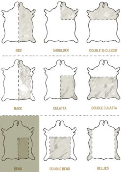 Sedgwick English Bridle Leather, Bend, 9-10oz, Choco 10 Sedgwick English Bridle Leather, Bend, 9-10oz, Choco -Buckleguy Leather Cutting Chart 47930.1508949149