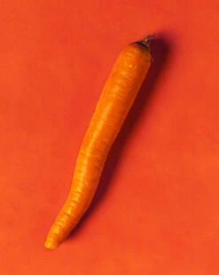 Wickett & Craig English Bridle Leather, Side, Carrot -Buckleguy Wickett Carrot 96599.1574122674