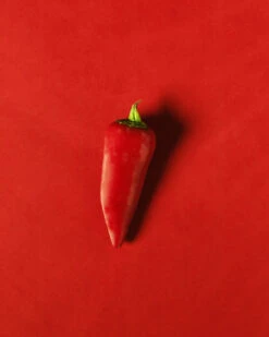 Wickett & Craig English Bridle Leather, Side, Chili Pepper 10 Wickett & Craig English Bridle Leather, Side, Chili Pepper -Buckleguy Wickett Chili Pepper 18197.1574123521