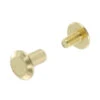 Chicago Screws, Flat Cap, Natural Brass, Solid Brass-LL (50 Per Bag), Multiple Sizes -Buckleguy apicnaaen 02954.1696261450